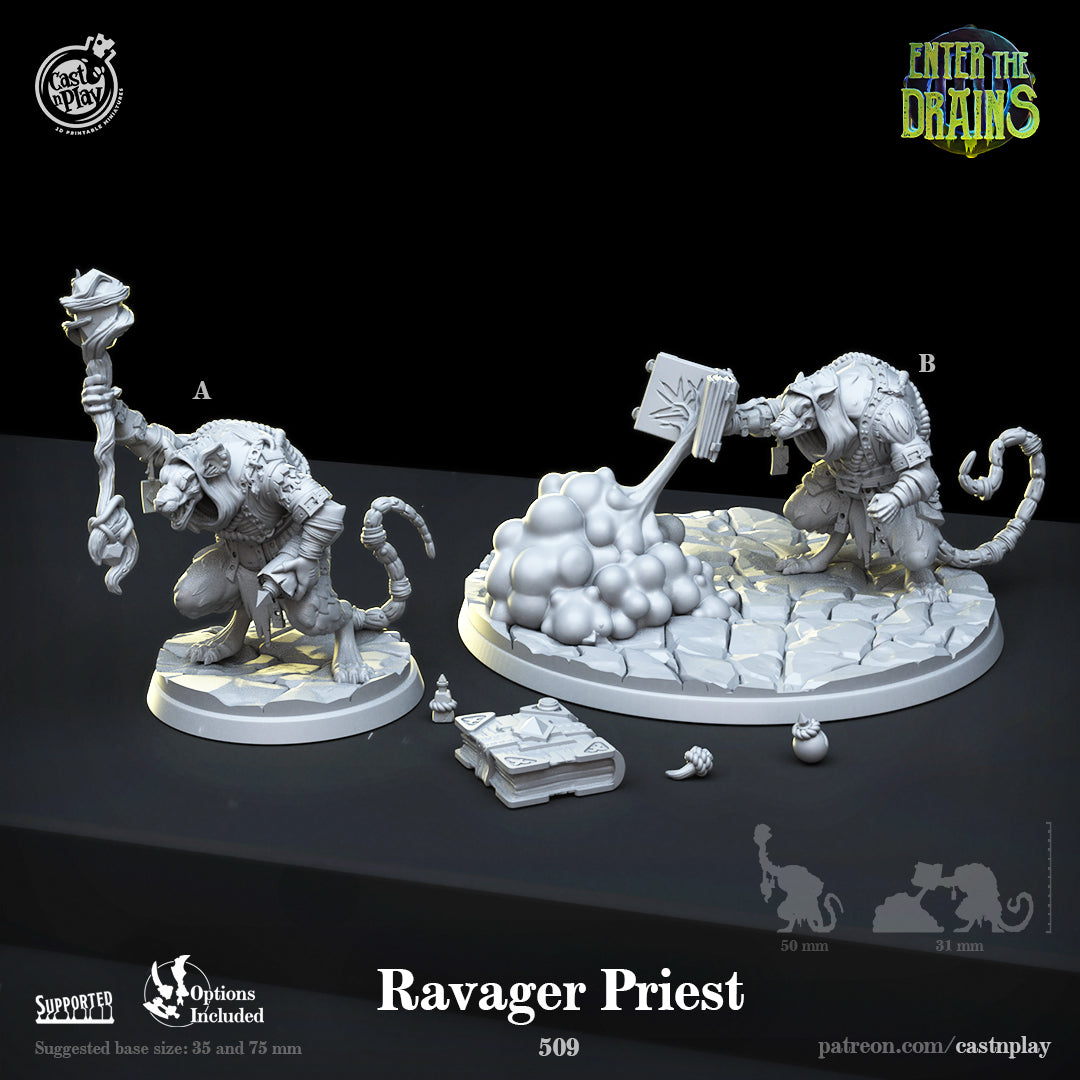 Ravager Priest - from the Enter the Drains series by Cast n Play