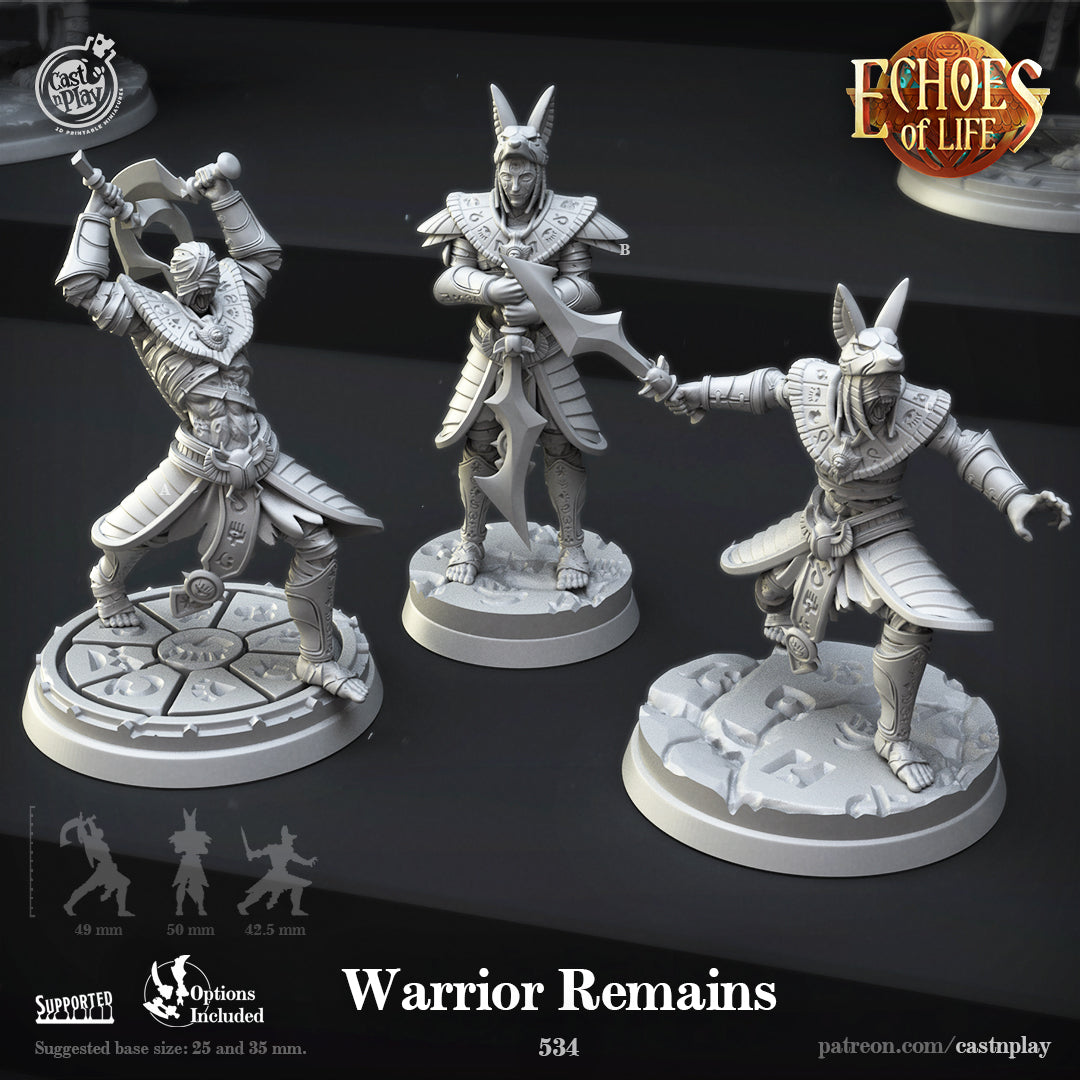 Restes du guerrier - de la série Echoes of Life de Cast n Play