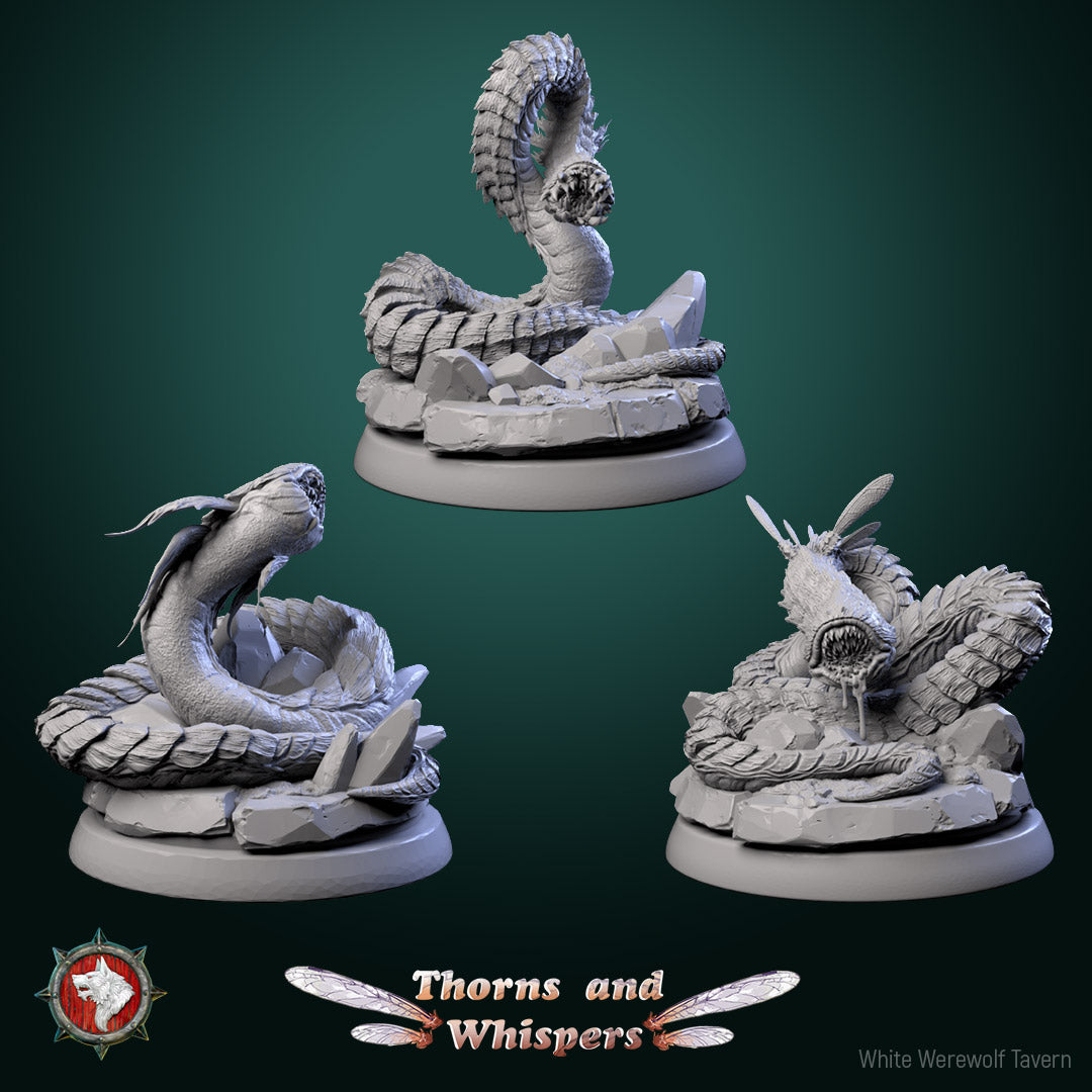 Blooming Coilspawn - aus der Reihe Thorns and Whispers von White Werewolf Tavern