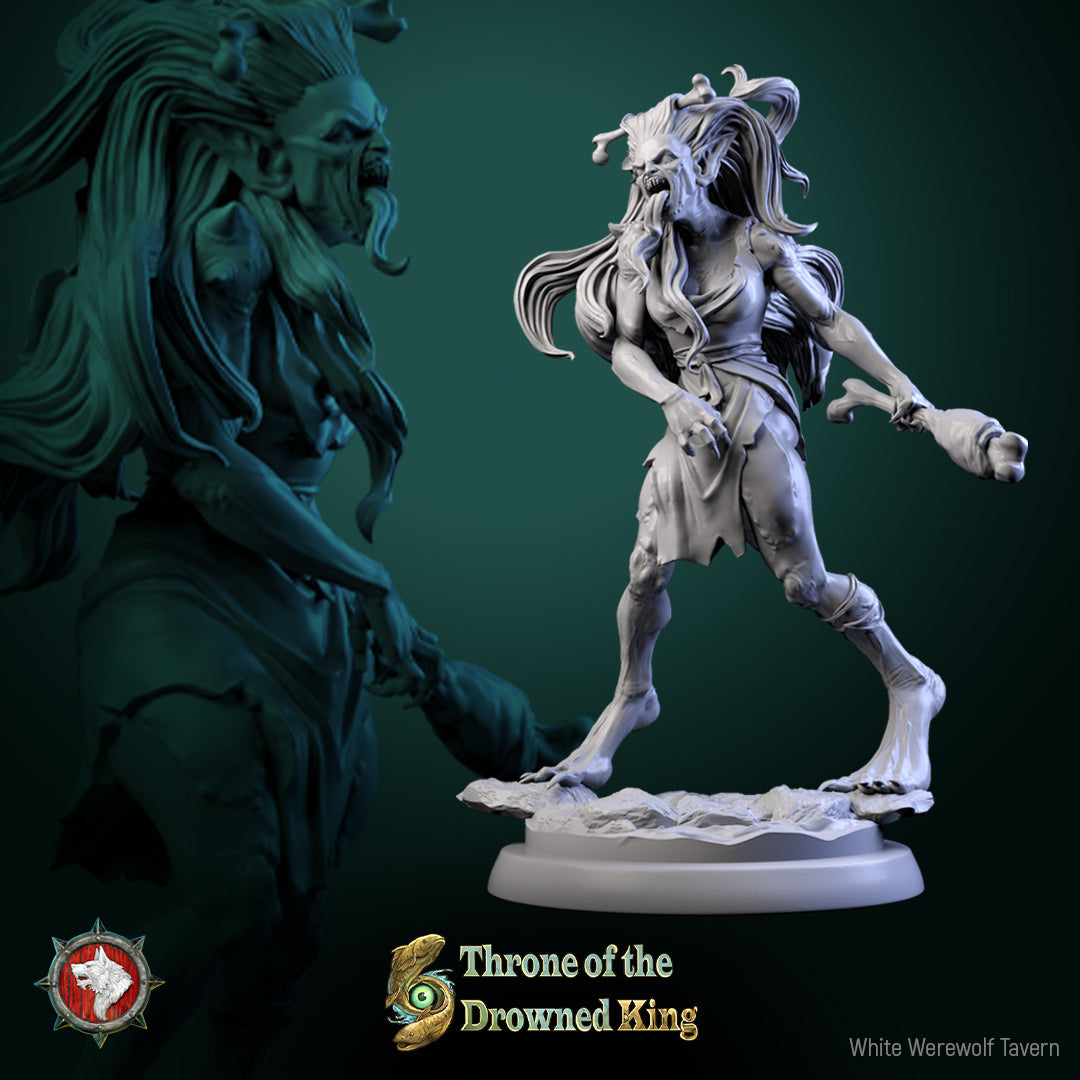 Amphipaha de la taverne du loup-garou blanc