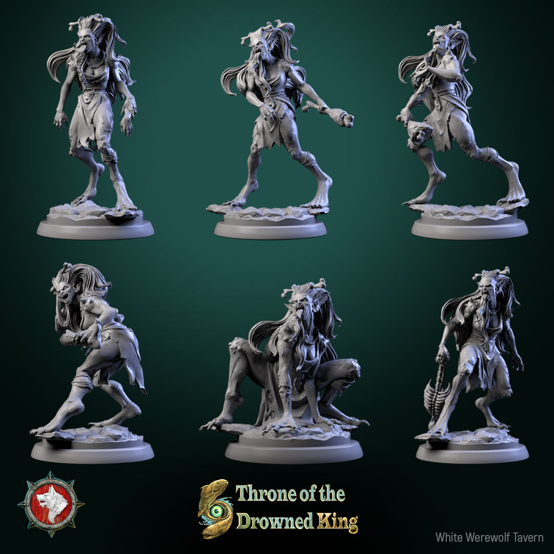 Amphipaha de la taverne du loup-garou blanc