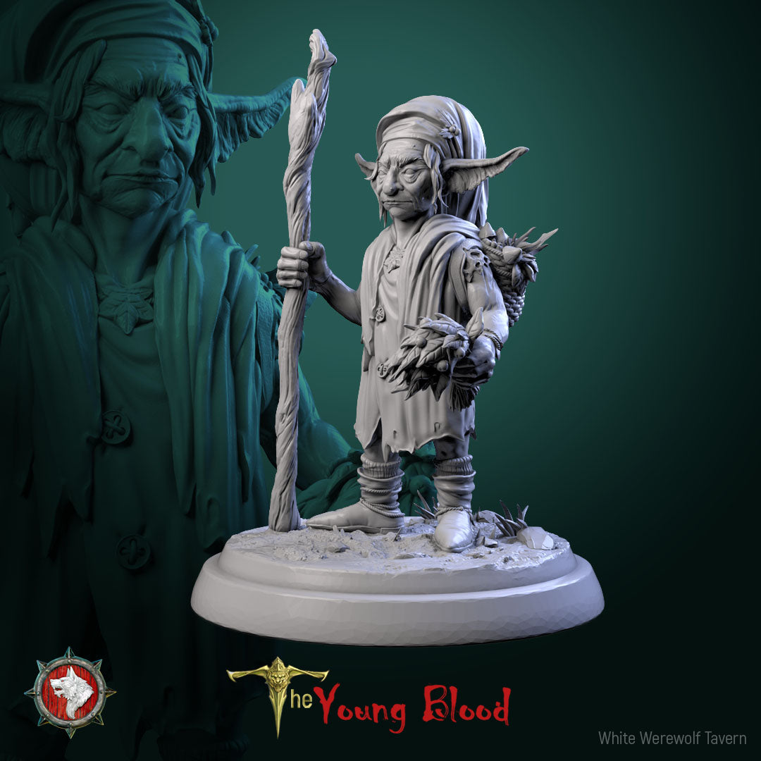 Elven Servants - aus der Reihe The Young Blood von White Werewolf Tavern