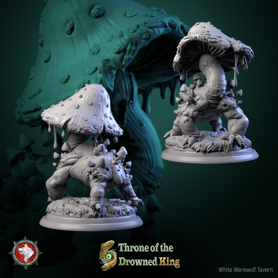 Amphipaha by White Werewolf Tavern