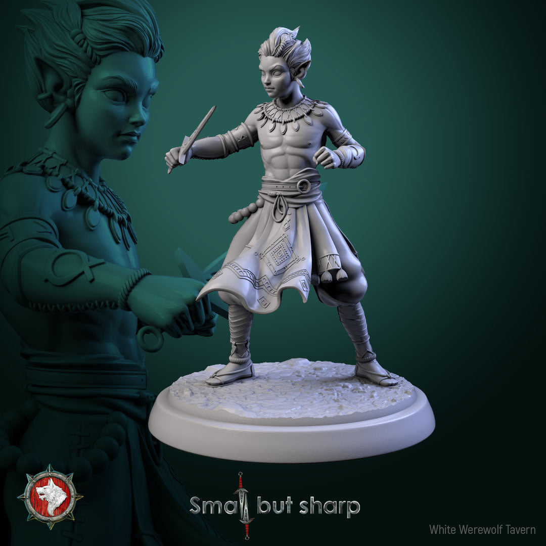 Halfling Monk - aus der Reihe Small but Sharp von White Werewolf Tavern