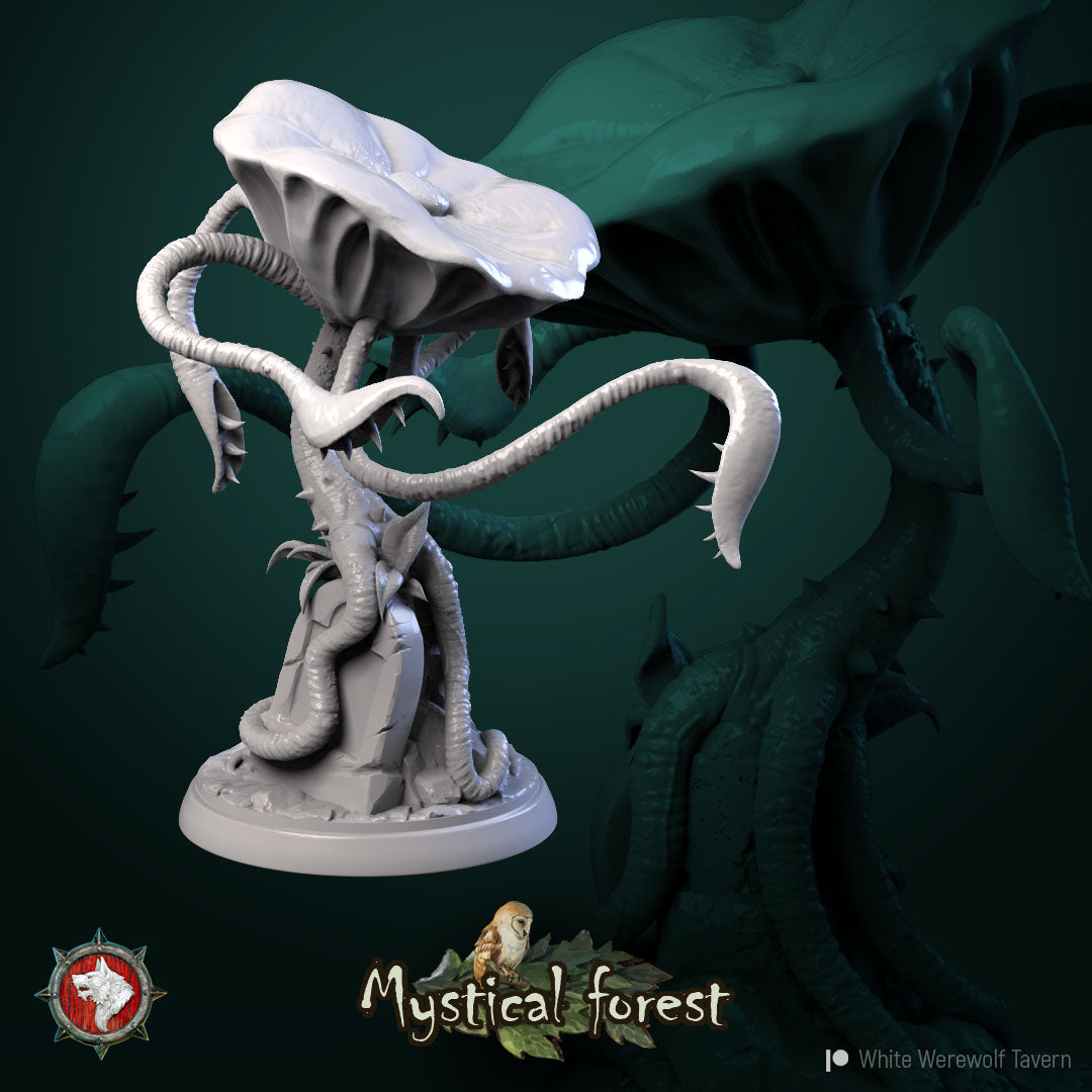 Mushrooms - aus der Reihe Mystical Forest von White Werewolf Tavern