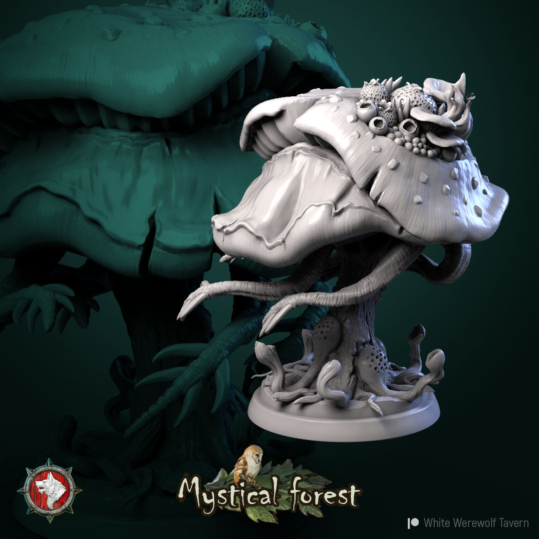 Mushrooms - aus der Reihe Mystical Forest von White Werewolf Tavern