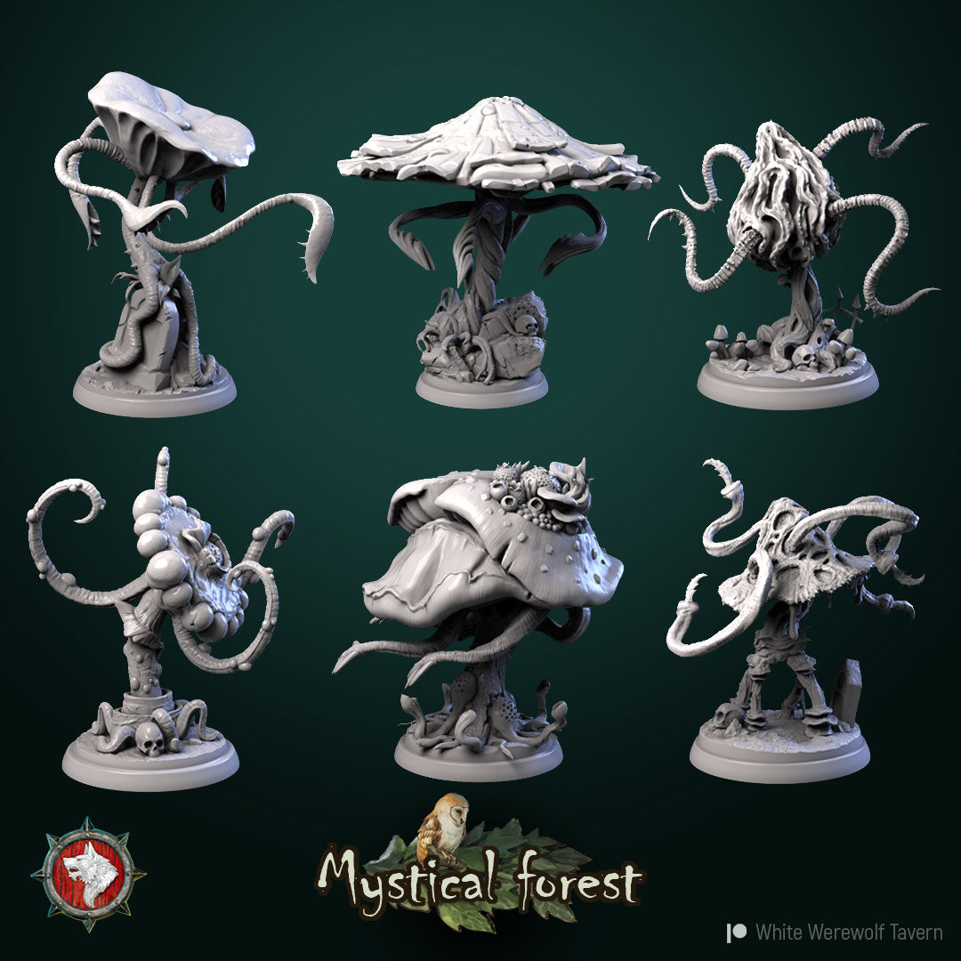 Mushrooms - aus der Reihe Mystical Forest von White Werewolf Tavern