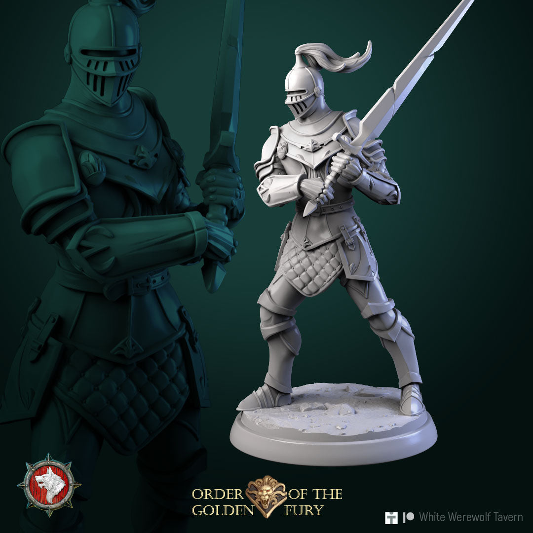 Knights - aus der Reihe Order of the golden Fury von White Werewolf Tavern