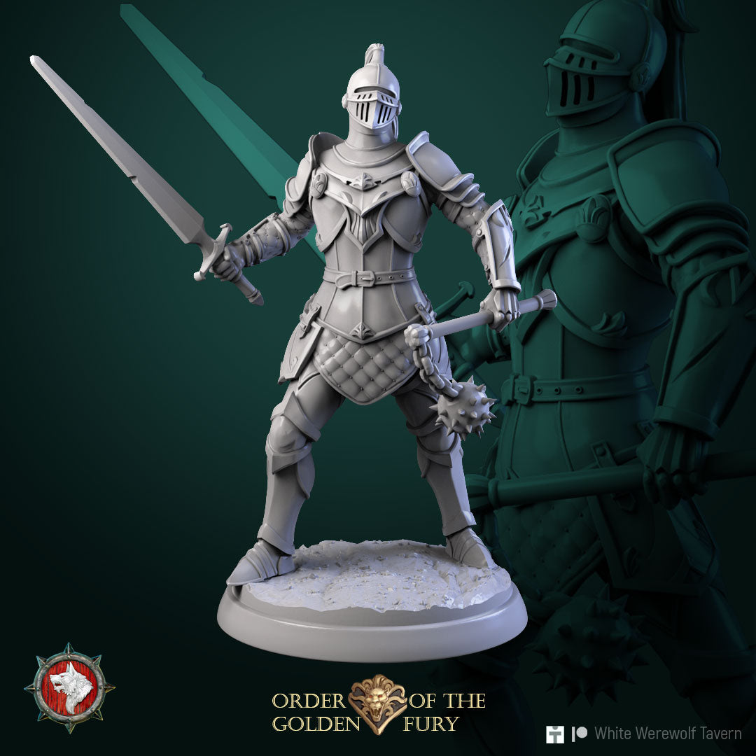 Knights - aus der Reihe Order of the golden Fury von White Werewolf Tavern