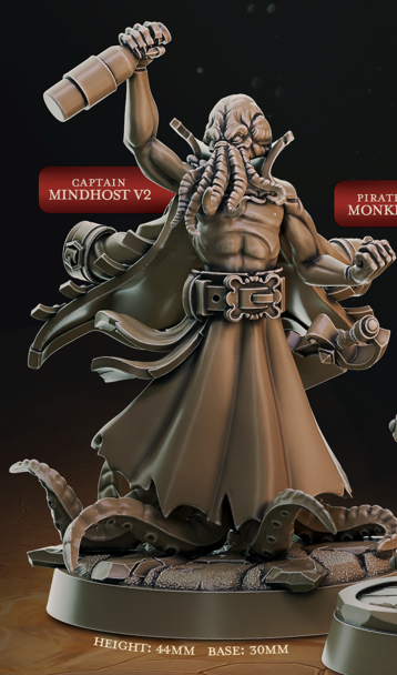 Capitaine pirate - de la série Pirate Chronicles de Cast n Play