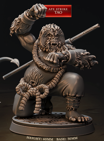 Moines combattants - de la série Eternal Monks de Cast n Play