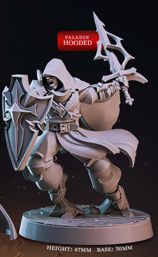 Human Paladin - Dungeon Guild - Cast n Play