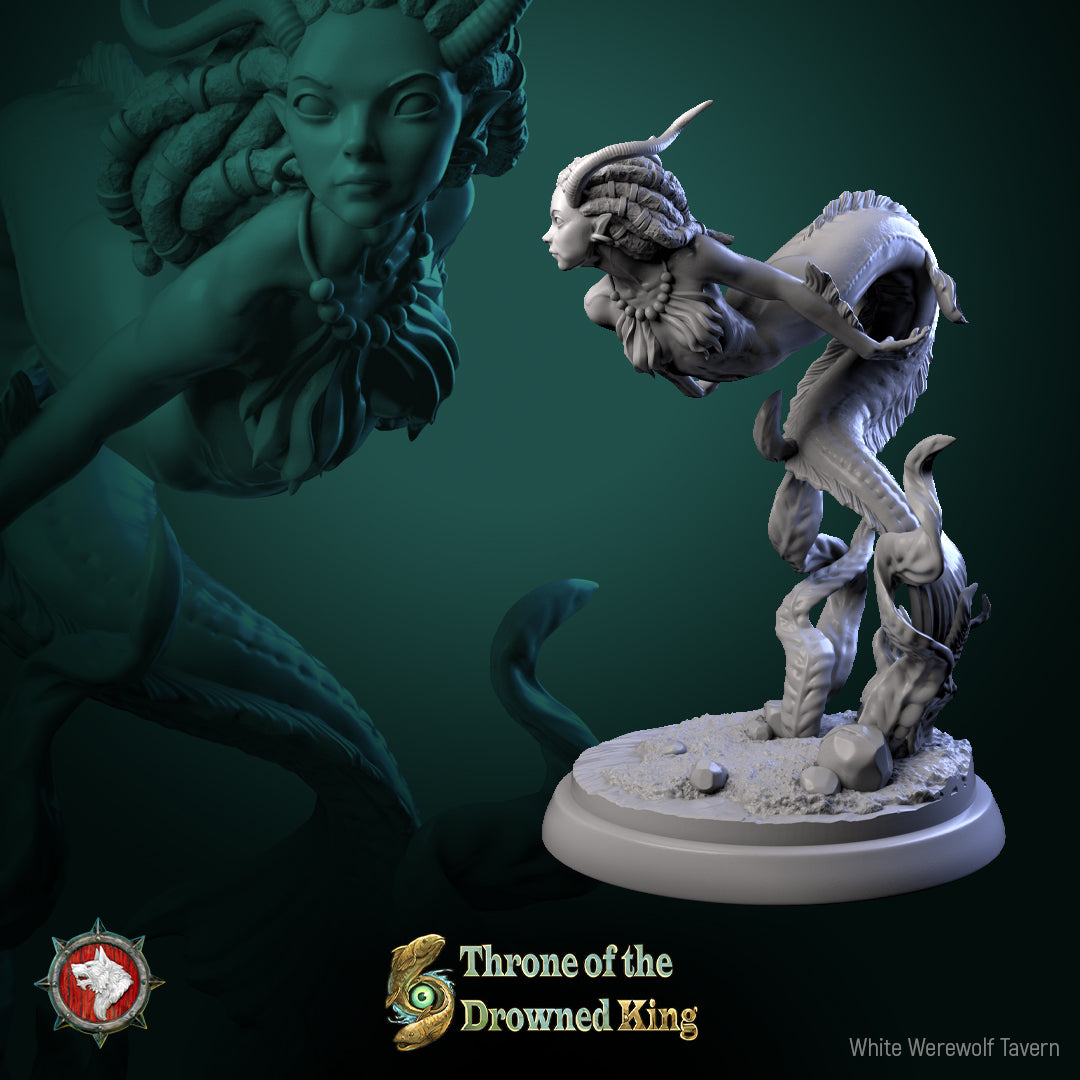 Amphipaha by White Werewolf Tavern