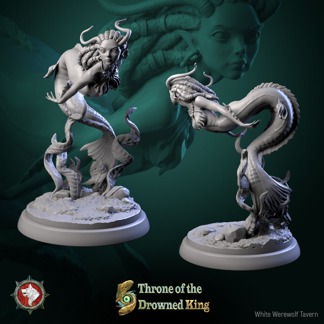 Amphipaha by White Werewolf Tavern