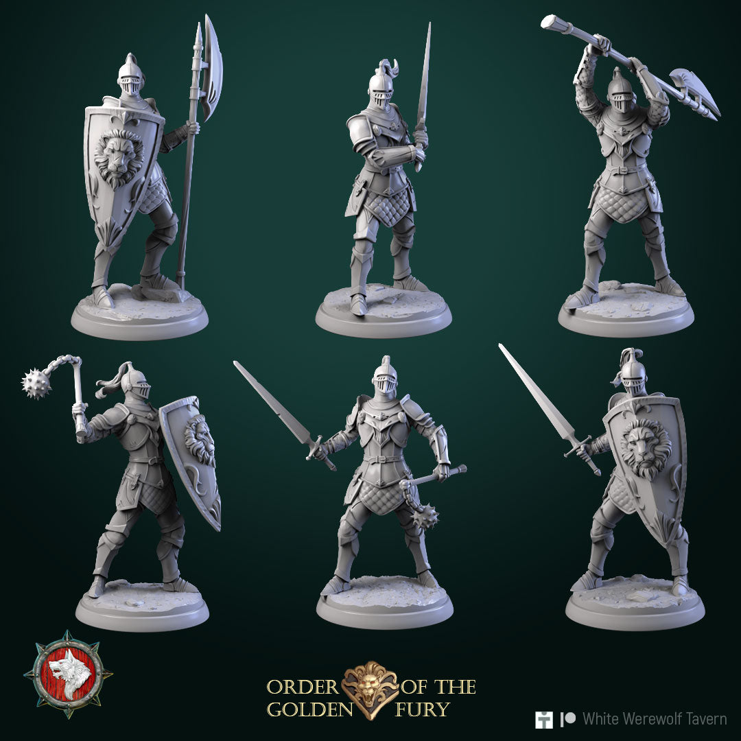 Knights - aus der Reihe Order of the golden Fury von White Werewolf Tavern