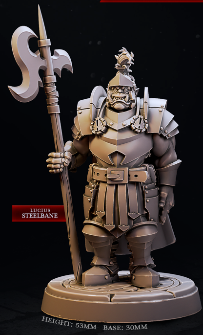 Imperial Army Custodian - City Guards - Cast n Play