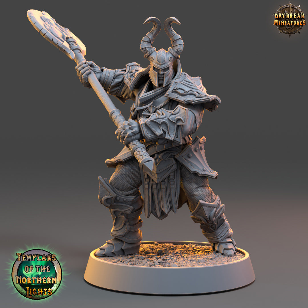 Kämpfer - aus der Reihe Templars of the Northern Lights von Daybreak Miniatures