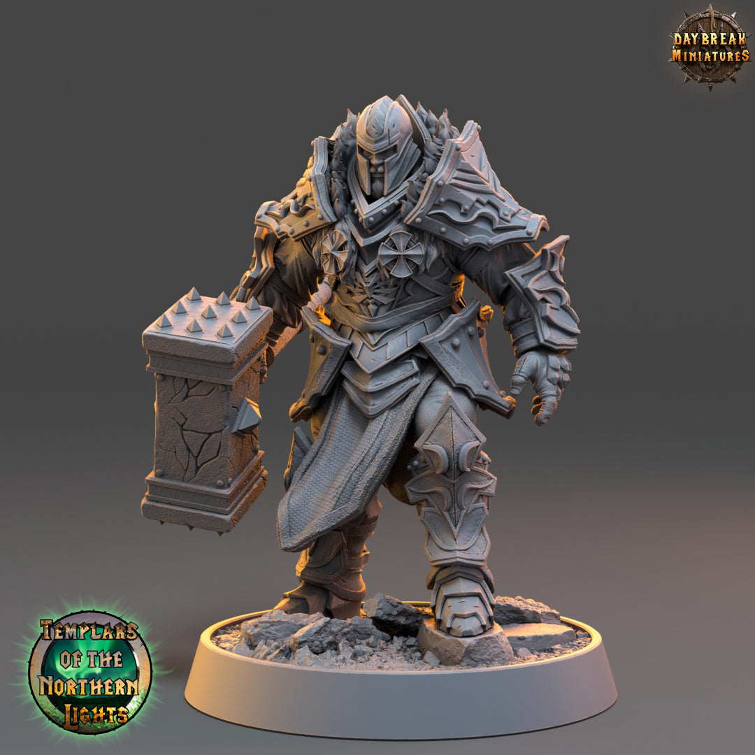 Kämpfer - aus der Reihe Templars of the Northern Lights von Daybreak Miniatures