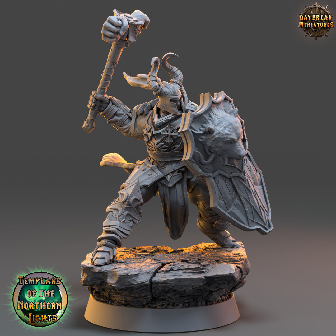 Kämpfer - aus der Reihe Templars of the Northern Lights von Daybreak Miniatures