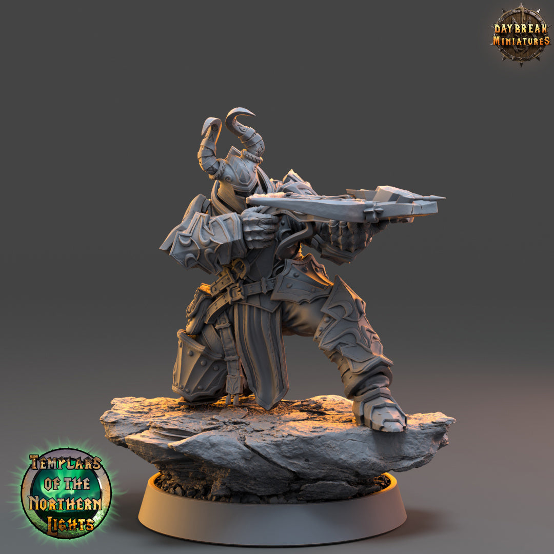 Kämpfer - aus der Reihe Templars of the Northern Lights von Daybreak Miniatures