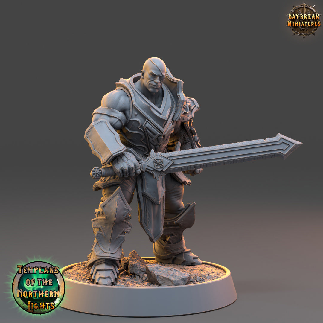 Kämpfer - aus der Reihe Templars of the Northern Lights von Daybreak Miniatures