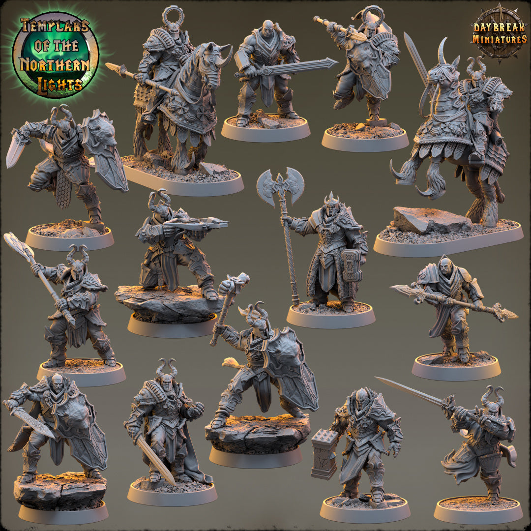 Kämpfer - aus der Reihe Templars of the Northern Lights von Daybreak Miniatures
