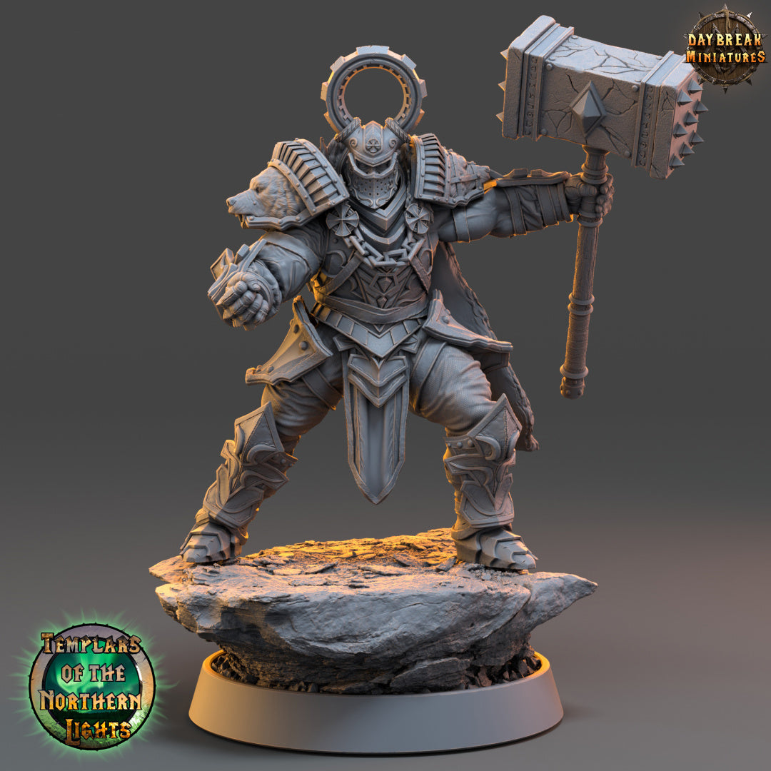Kämpfer - aus der Reihe Templars of the Northern Lights von Daybreak Miniatures