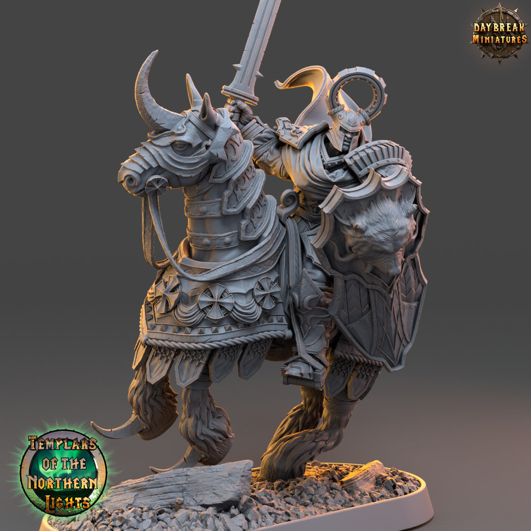 Kämpfer - aus der Reihe Templars of the Northern Lights von Daybreak Miniatures