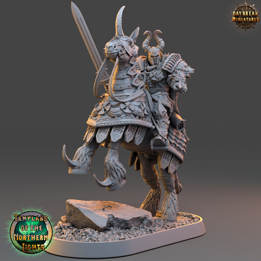 Kämpfer - aus der Reihe Templars of the Northern Lights von Daybreak Miniatures