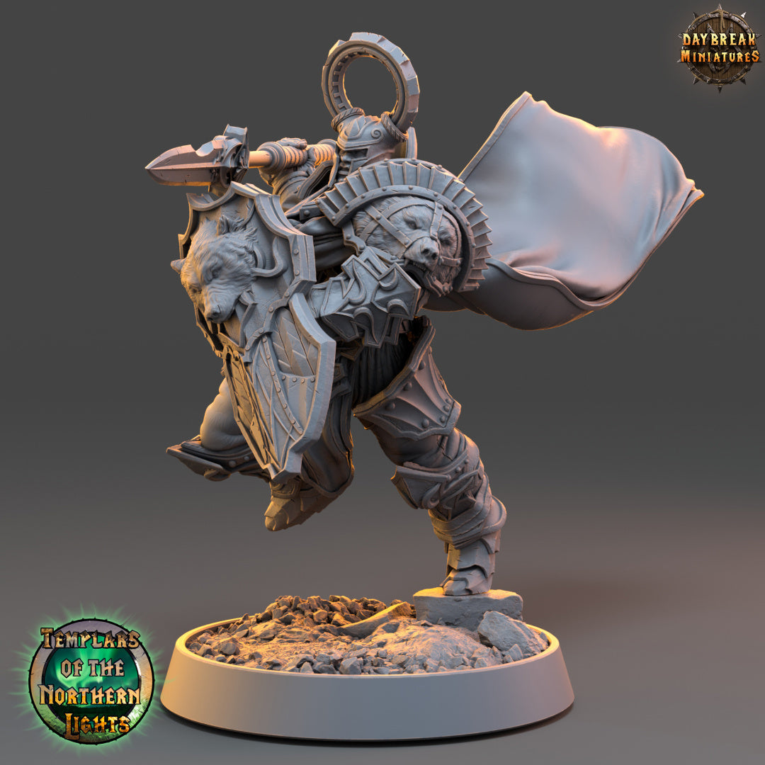 Kämpfer - aus der Reihe Templars of the Northern Lights von Daybreak Miniatures
