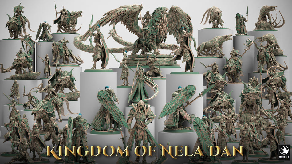 Kingdom of Nela Dan