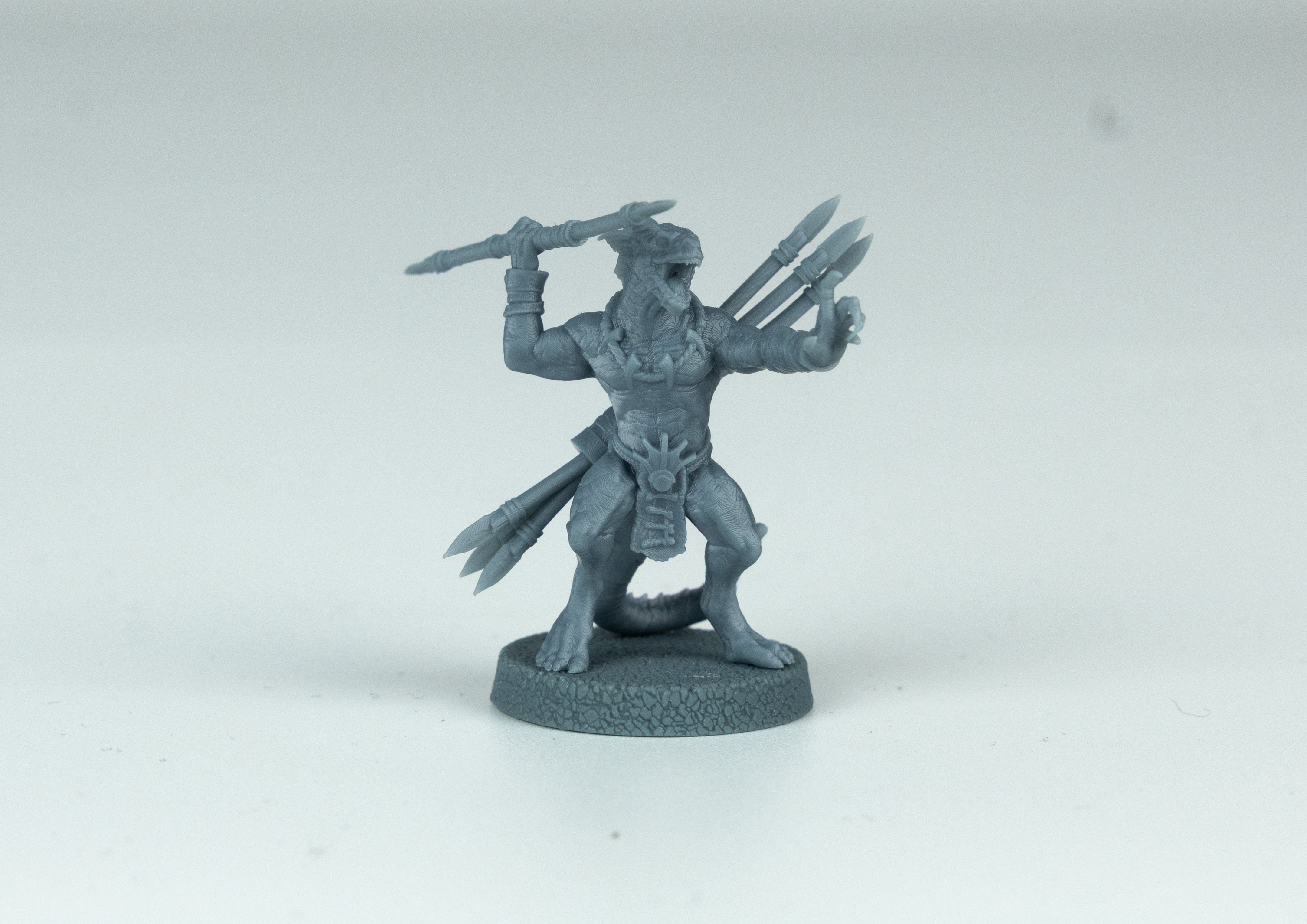 Lizards Premium Miniature Box