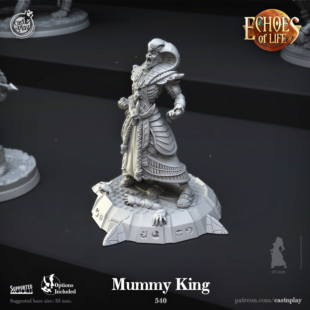 Mummy King - Echoes of Life - Cast n Play