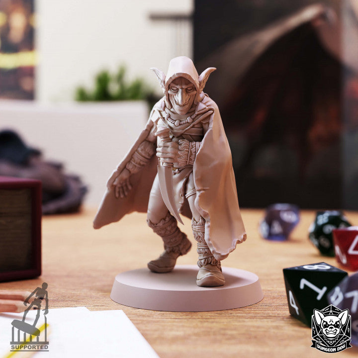 Goblin Assassin - par Dungeon Dog