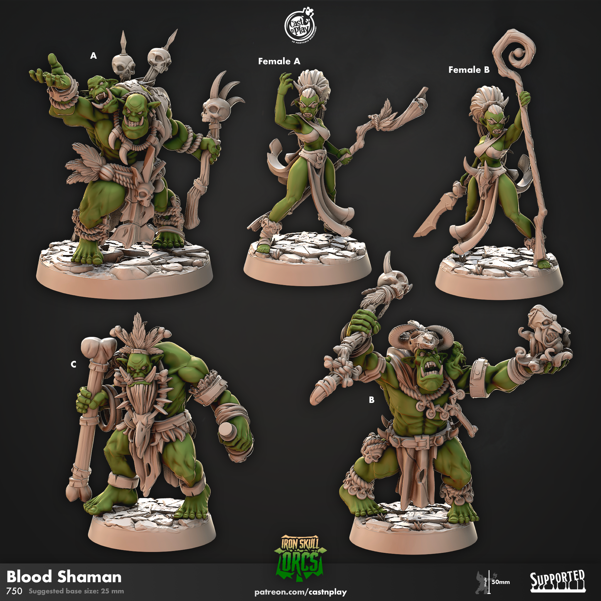 Chaman de sang - de la série Iron Skull Orcs par Cast n Play