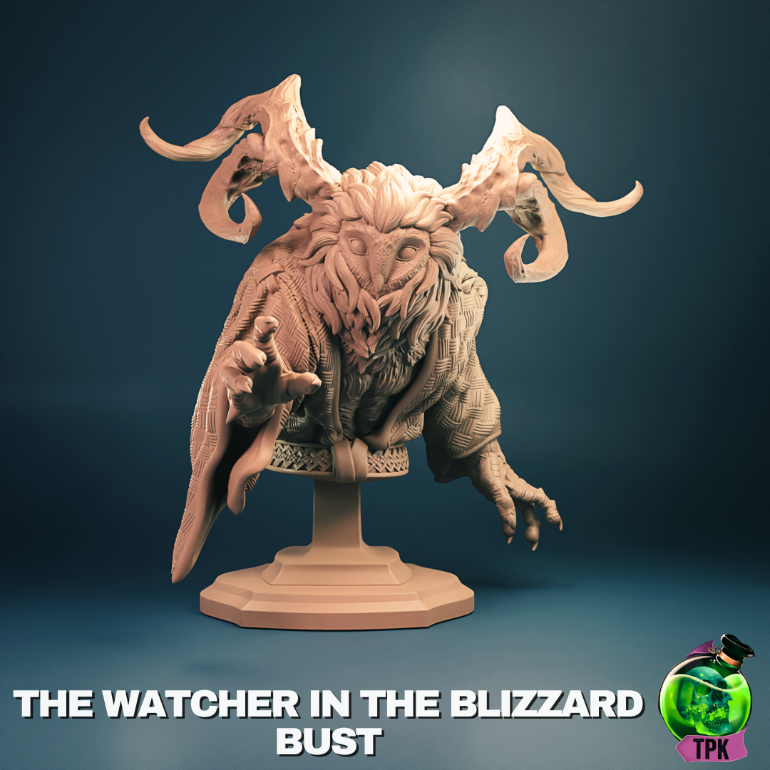 The Watcher in the Blizzard Bust - TPK Lab