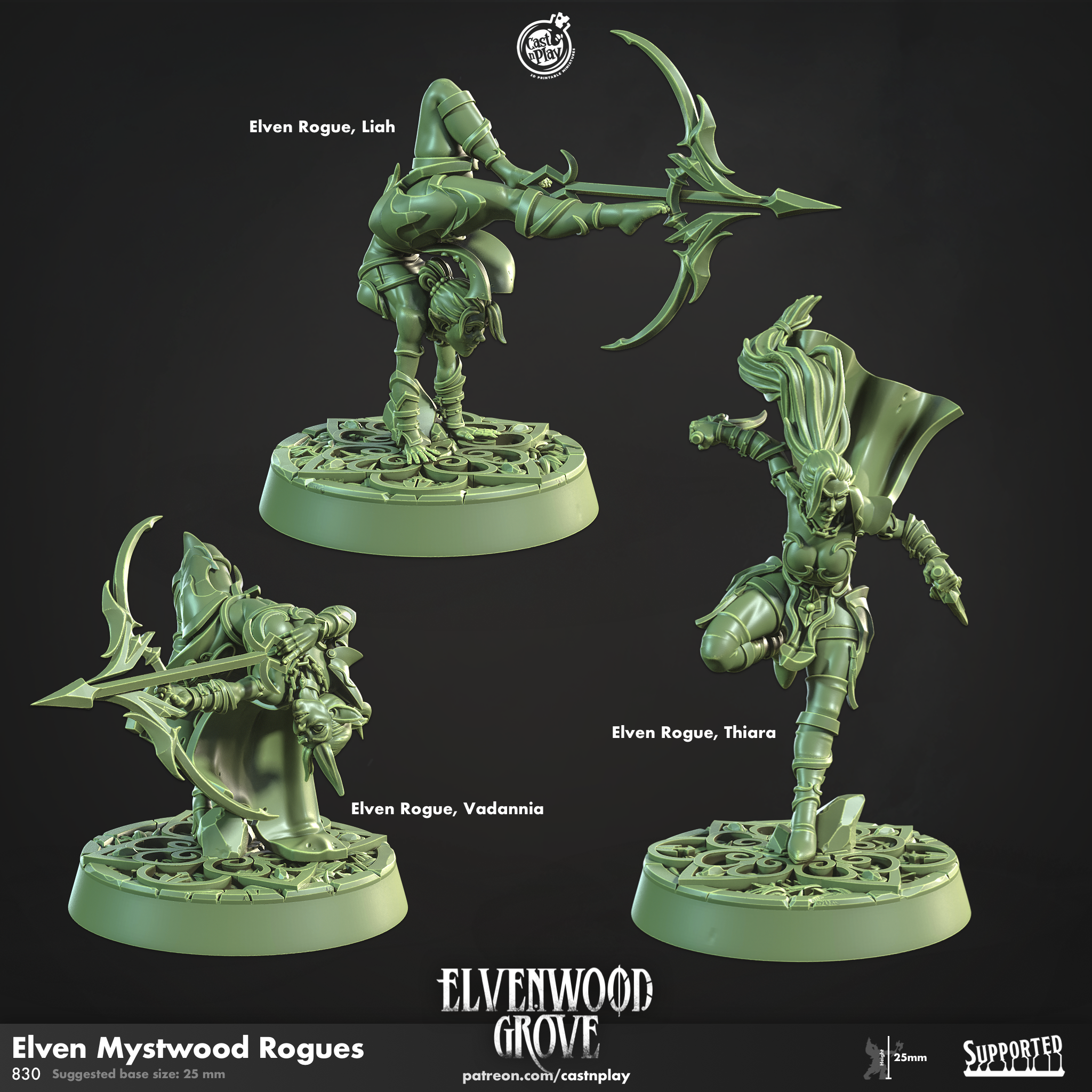 Elven Mystwood Rogues - aus der Reihe Elvenwood Grove von Cast n Play