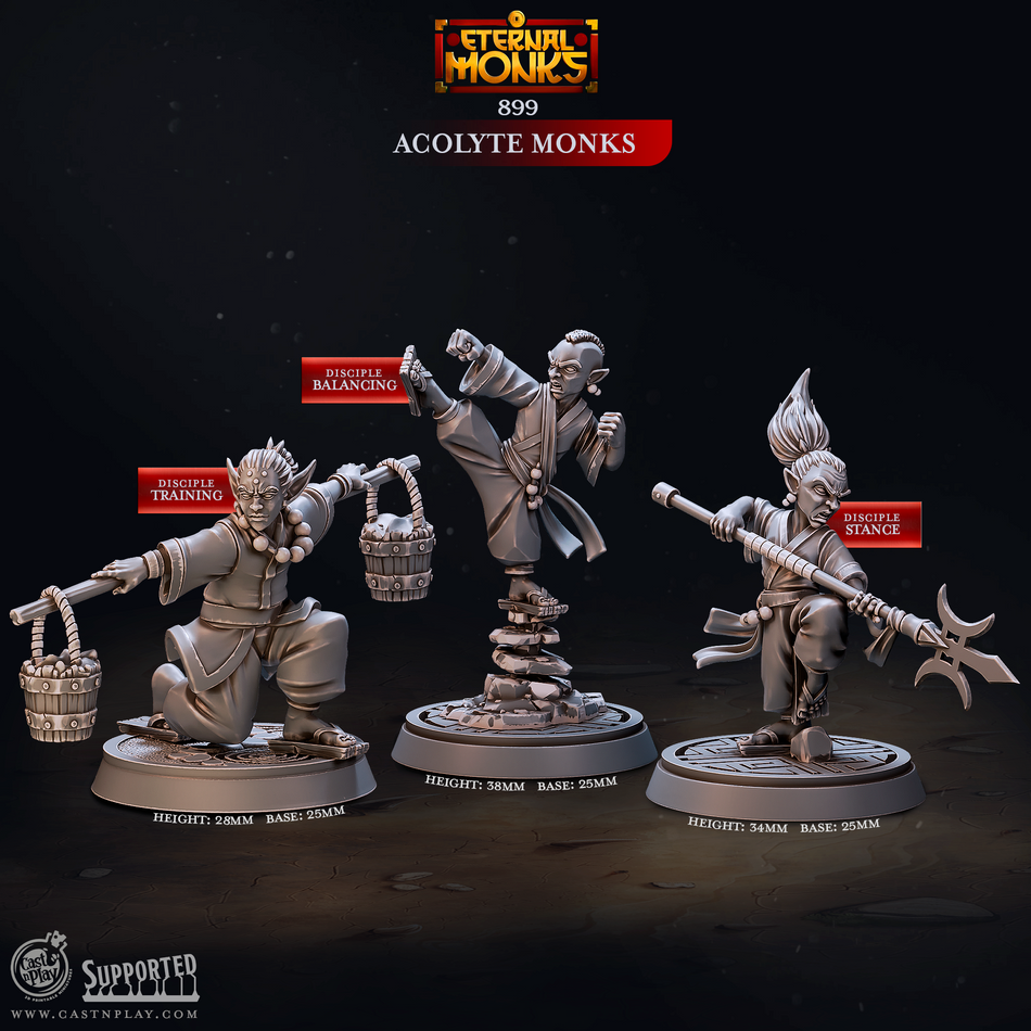 Acolyte Monks - aus der Reihe Eternal Monks von Cast n Play