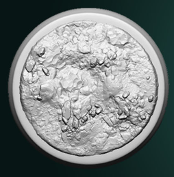 Bases - aus der Reihe Mystical Forest von White Werewolf Tavern