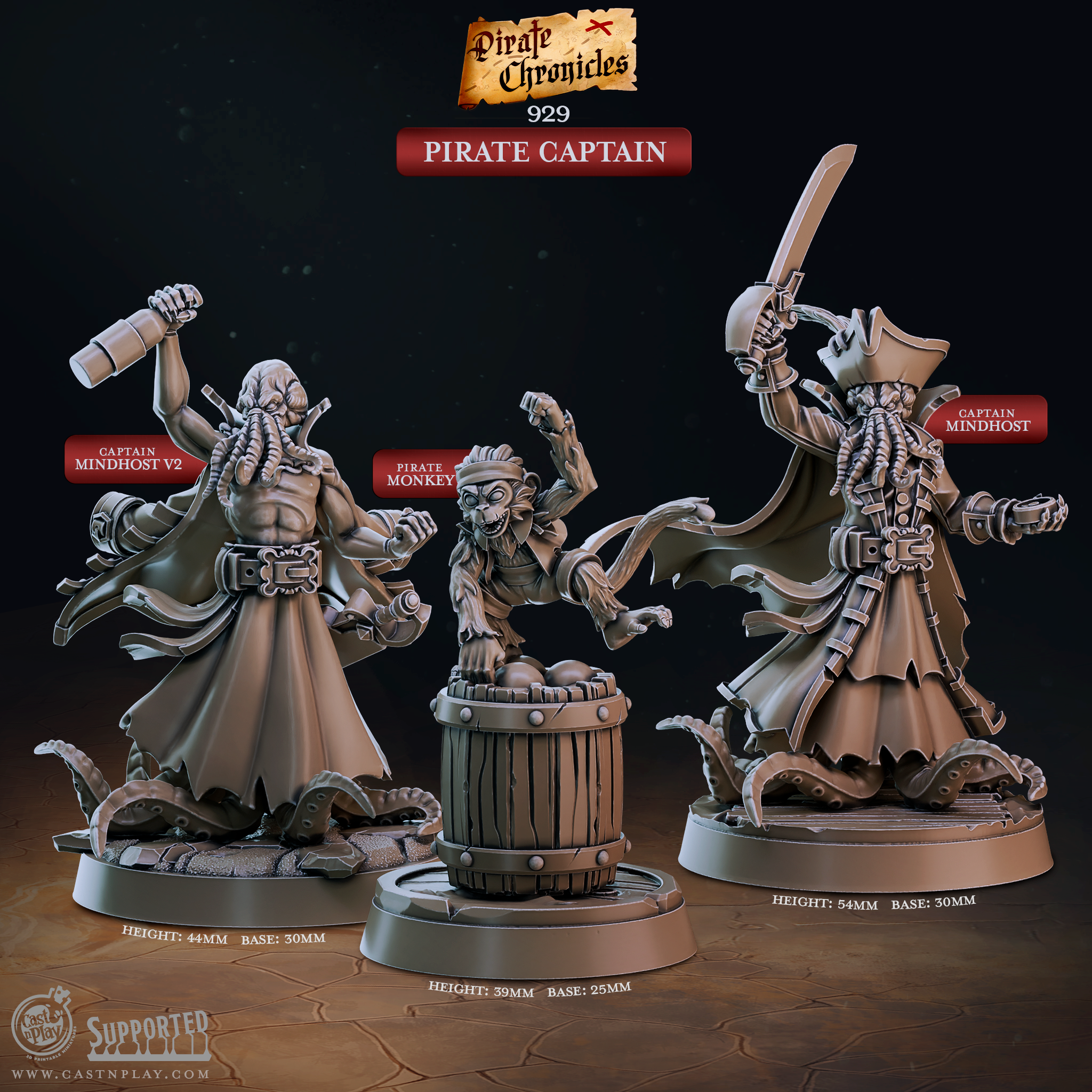 Capitaine pirate - de la série Pirate Chronicles de Cast n Play