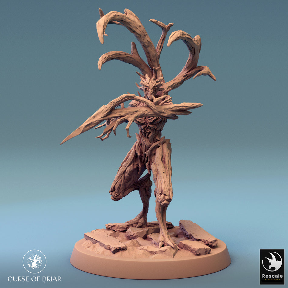 Woodfey 1 - Curse of Briar - Rescale Miniatures