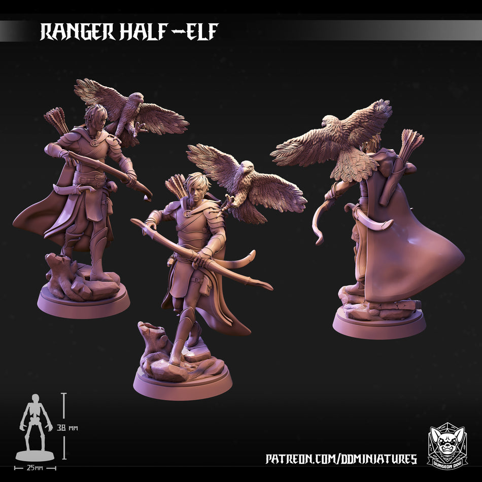 Half-Elf Ranger von Dungeon Dog