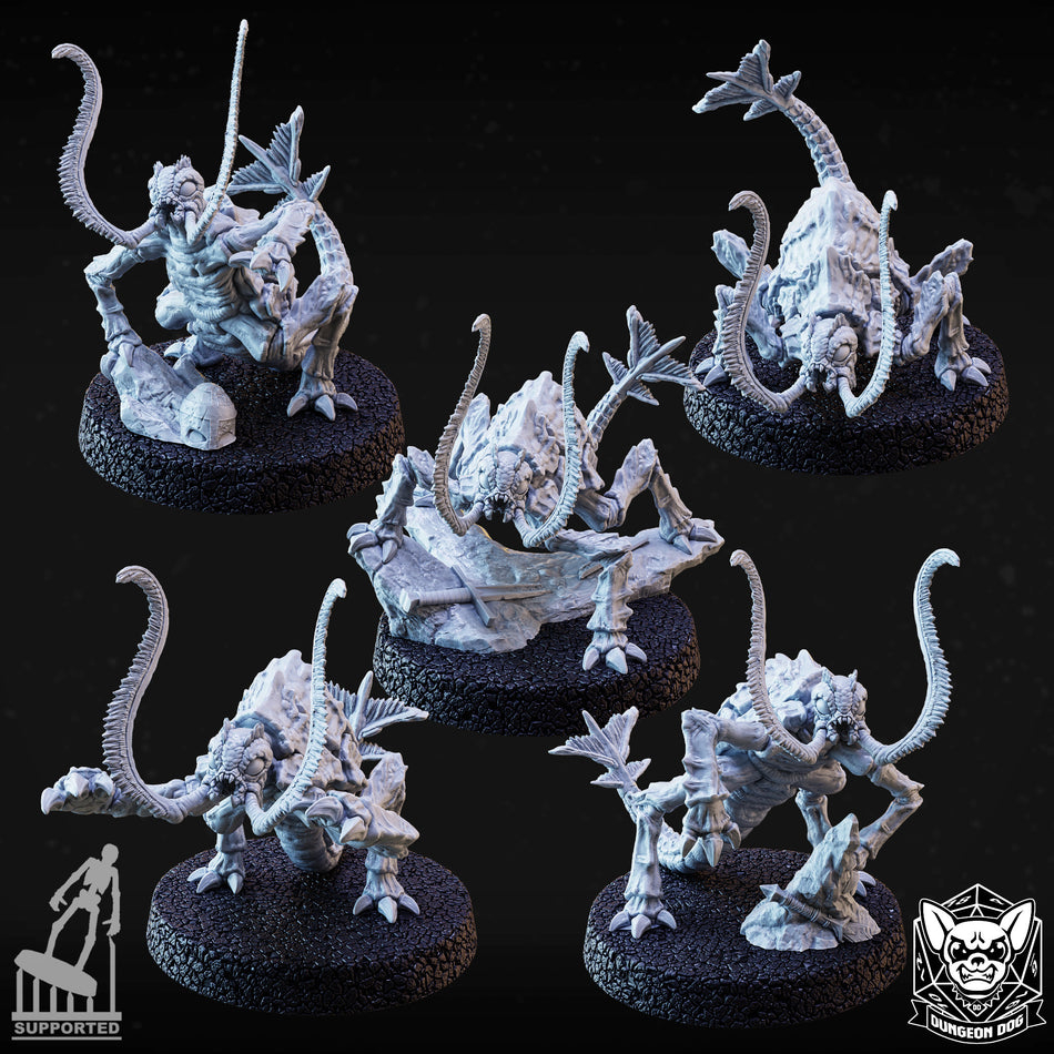 Rust Monster - Dungeon Dog