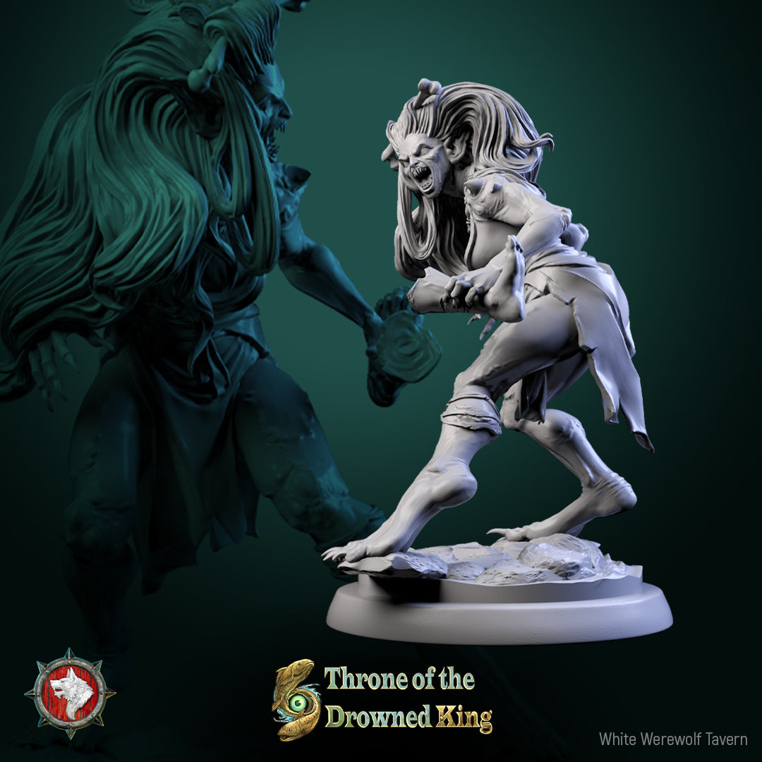 Amphipaha de la taverne du loup-garou blanc