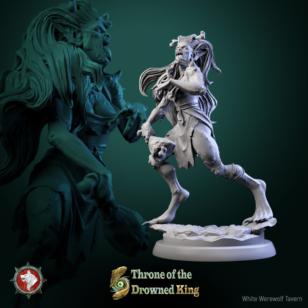 Amphipaha de la taverne du loup-garou blanc