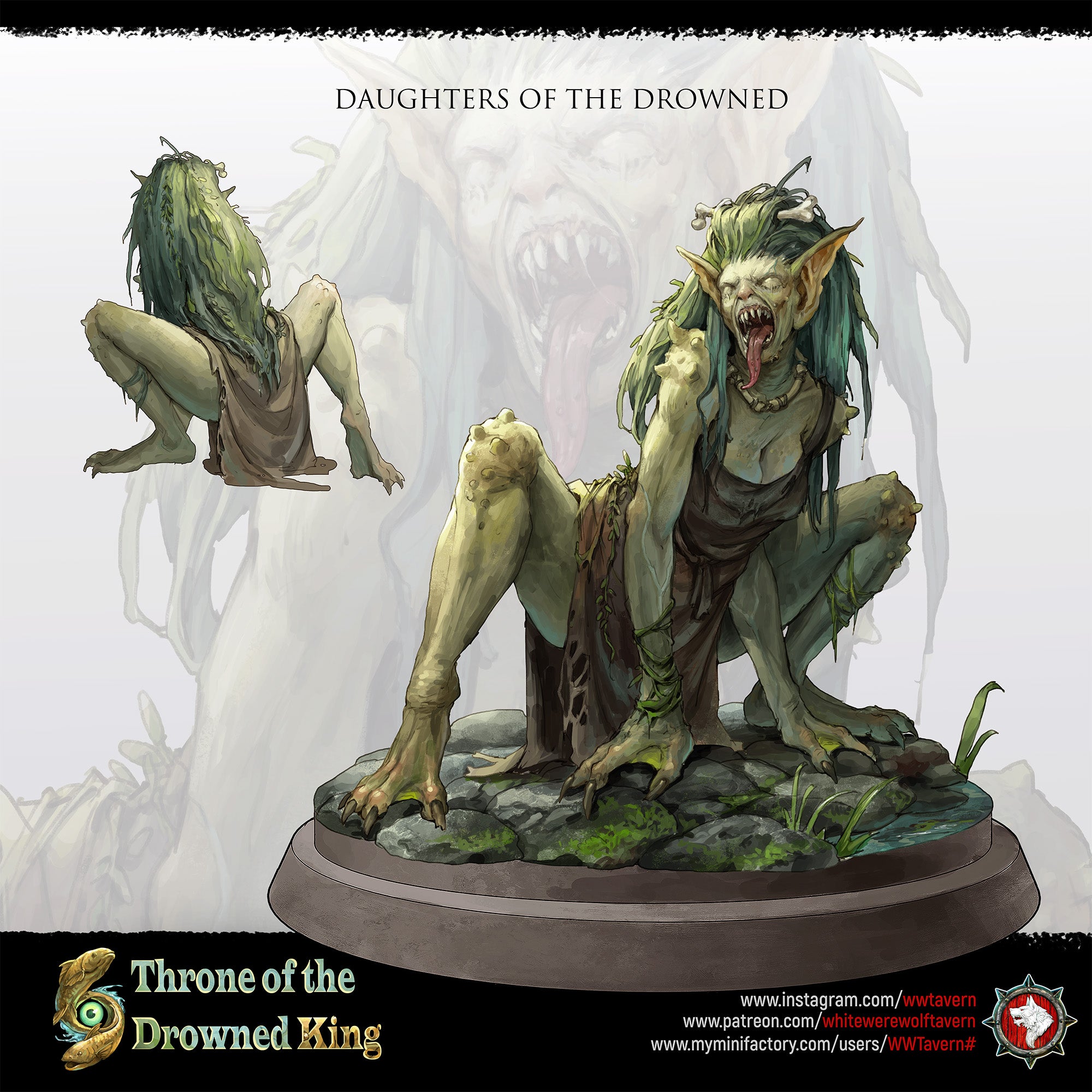 Amphipaha de la taverne du loup-garou blanc