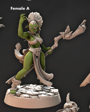 Blood Shaman - Iron Skull Orcs - Cast n Play