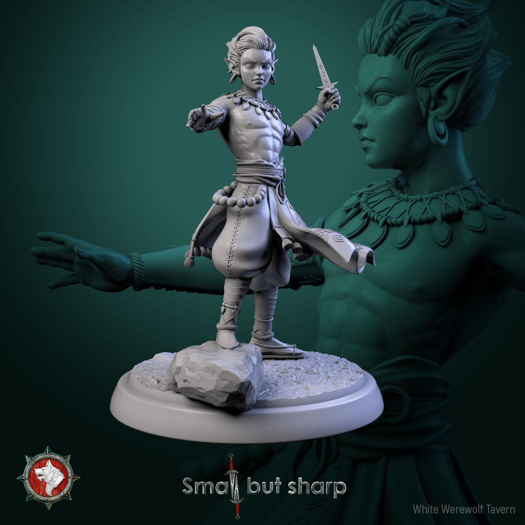 Halfling Monk - aus der Reihe Small but Sharp von White Werewolf Tavern