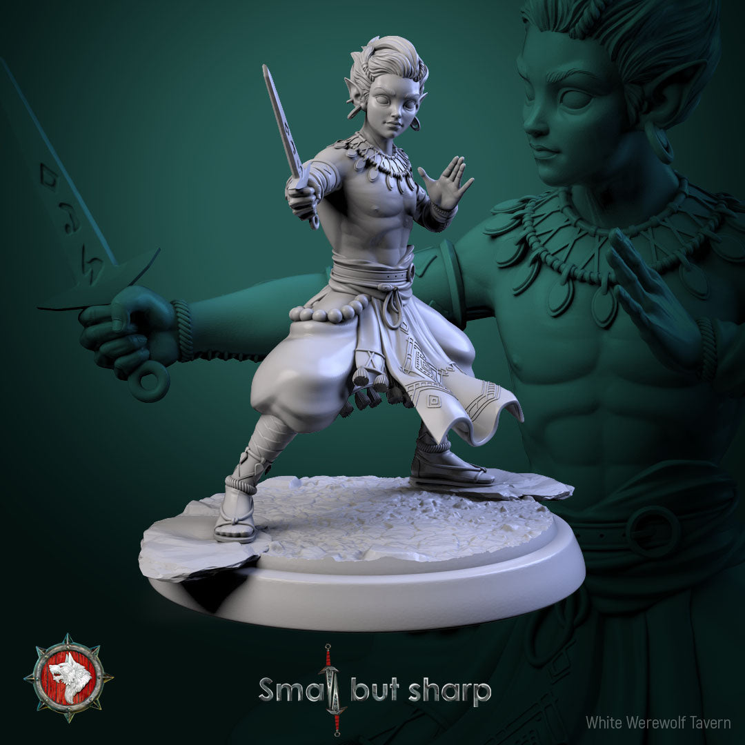 Halfling Monk - aus der Reihe Small but Sharp von White Werewolf Tavern