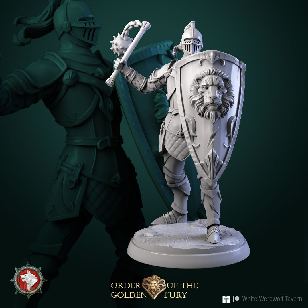 Knights - aus der Reihe Order of the golden Fury von White Werewolf Tavern